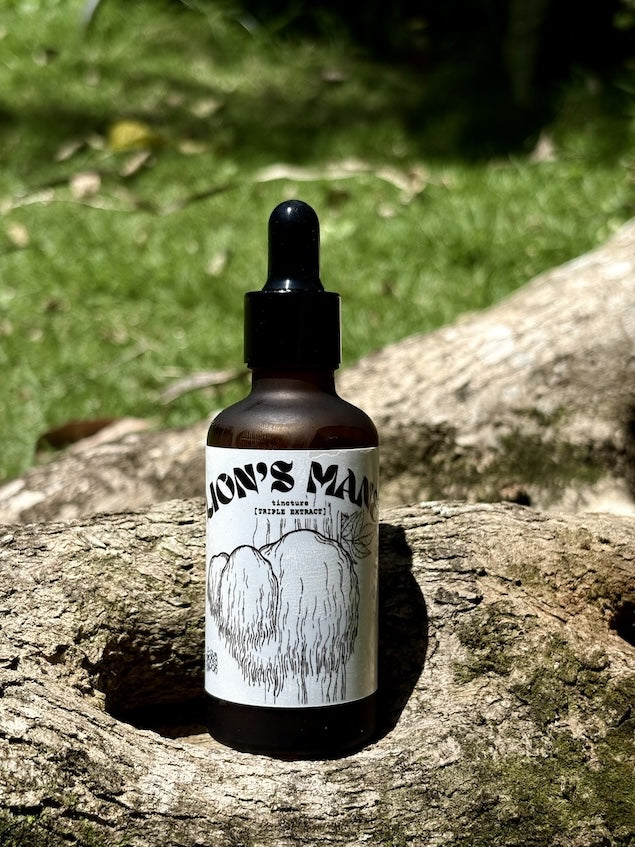 Lion's Mane Triple Extract