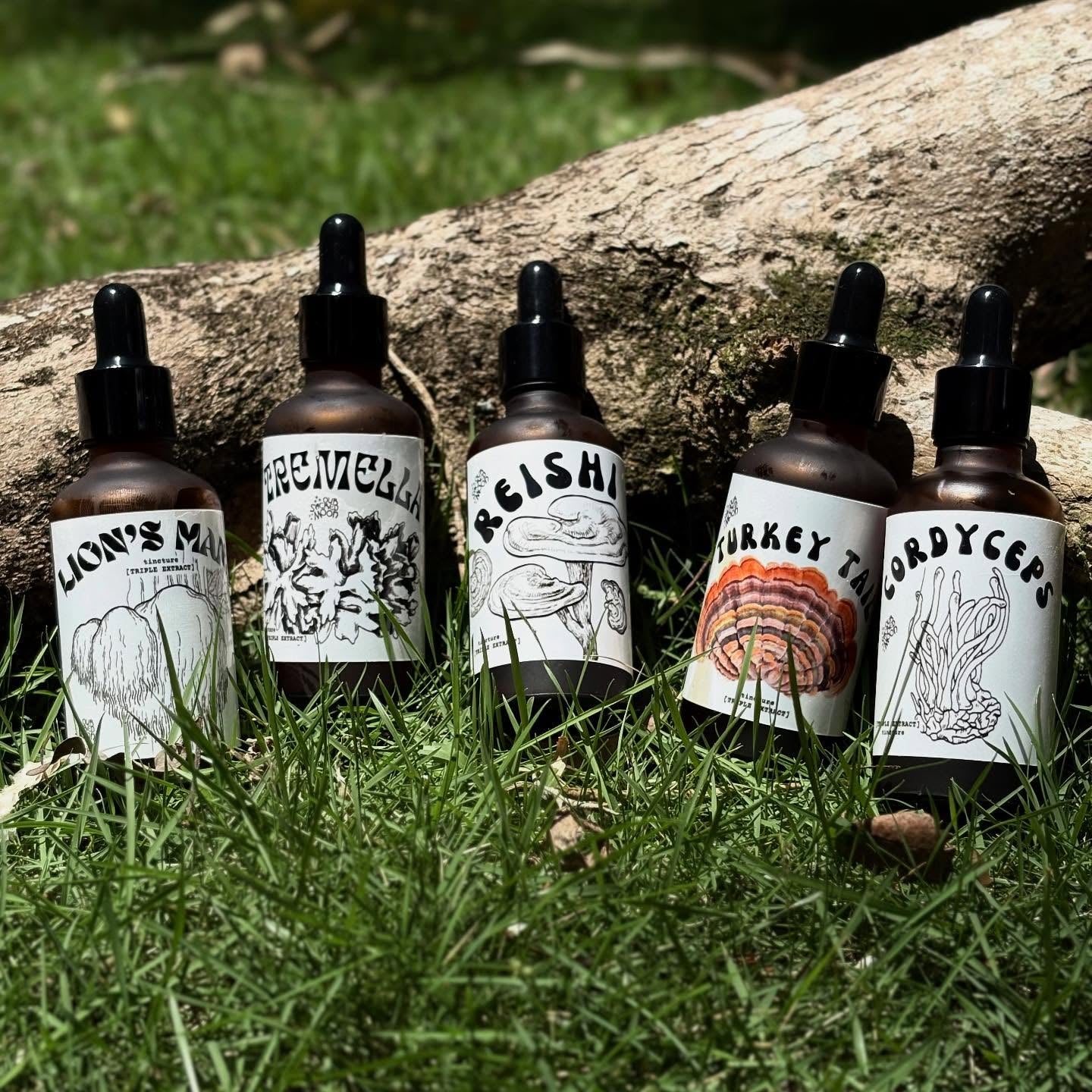 Mushroom Extracts
