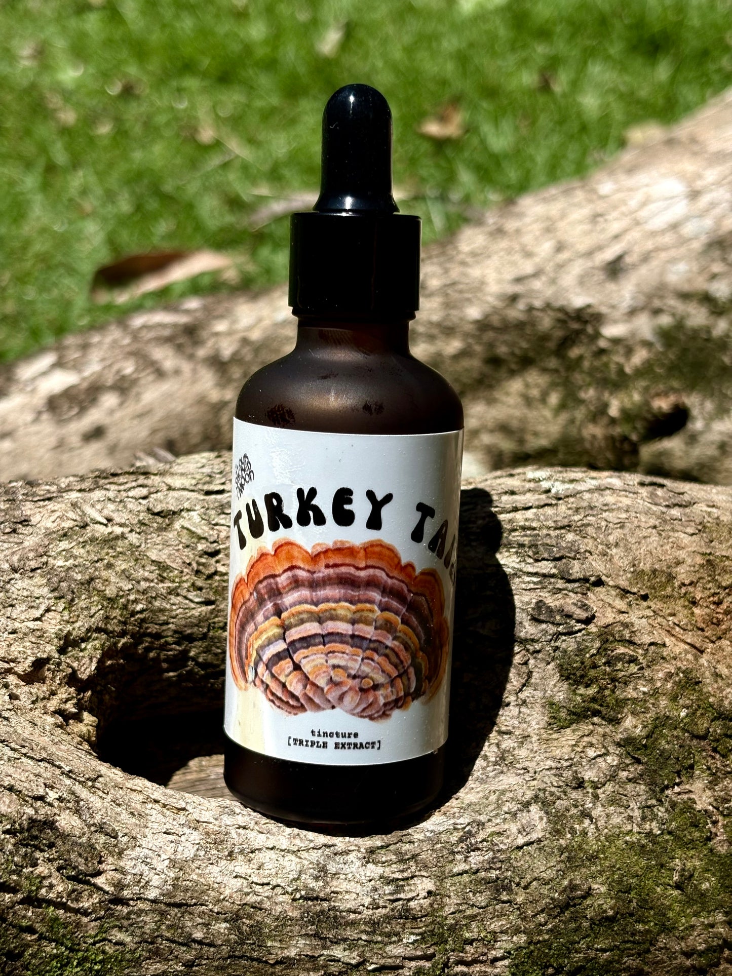 Turkey Tail Triple Extract