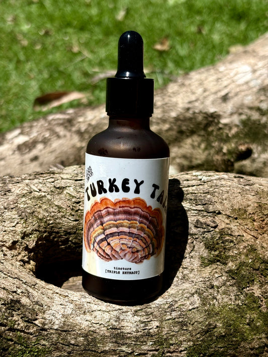 Turkey Tail Triple Extract