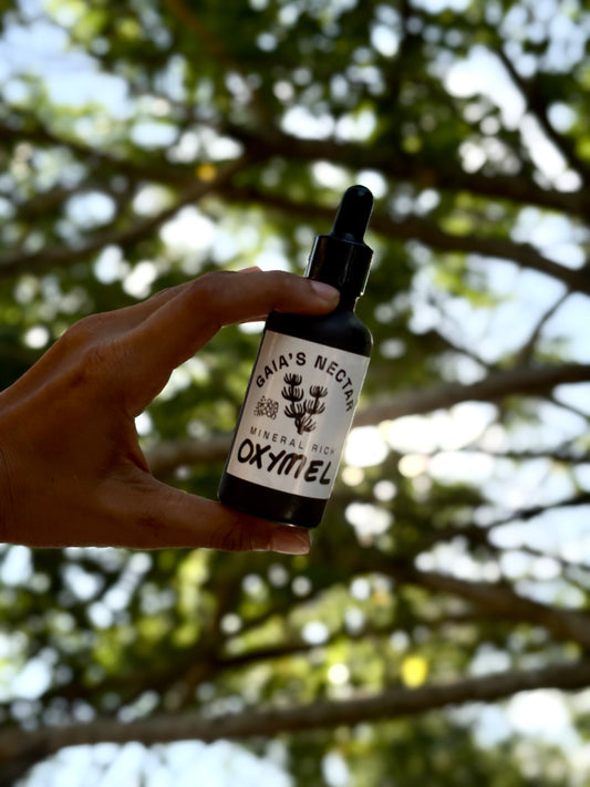 Gaia's Nectar Oxymel