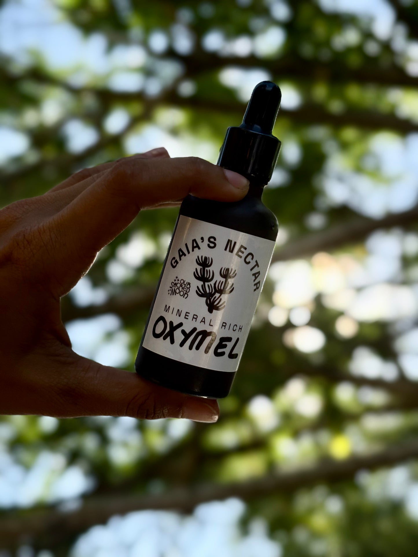 St. John’s Wort Body Oil