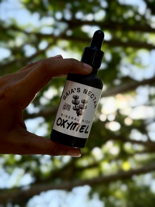St. John’s Wort Body Oil