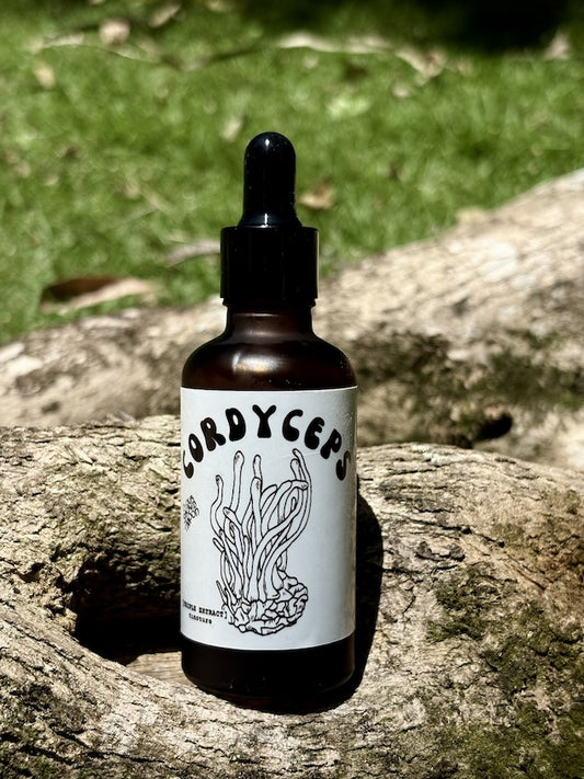 Cordyceps